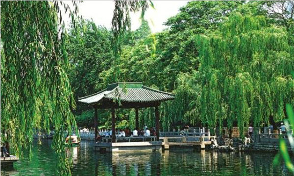 金虎泉