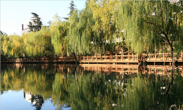 环城八景之栈水浣花
