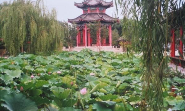 Lotus Charm of Canglang&Xiaocanglang Pavilion