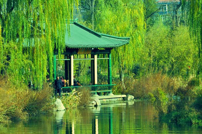 “Breeze at Bamboos”